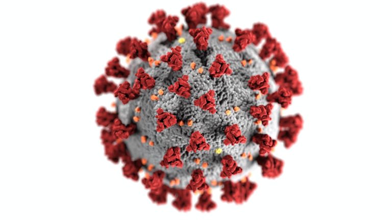Coronavirus : le confinement va-t-il tuer plus de personnes qu’il n’en sauvera ?